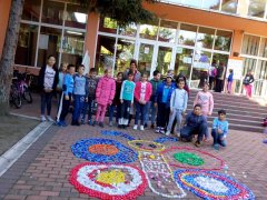IMG_20181003_094519.jpg